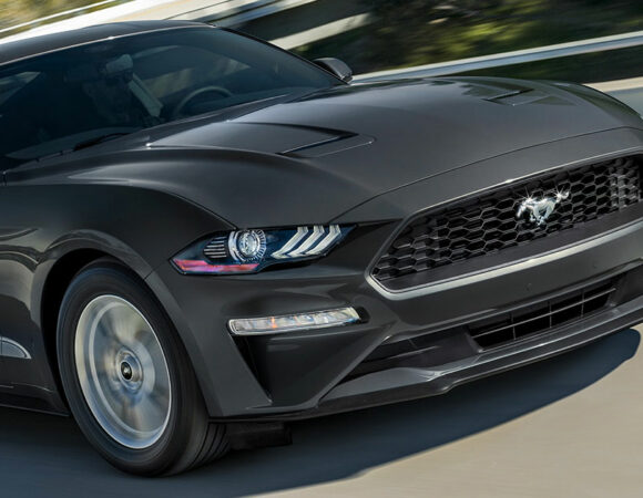 Mustang